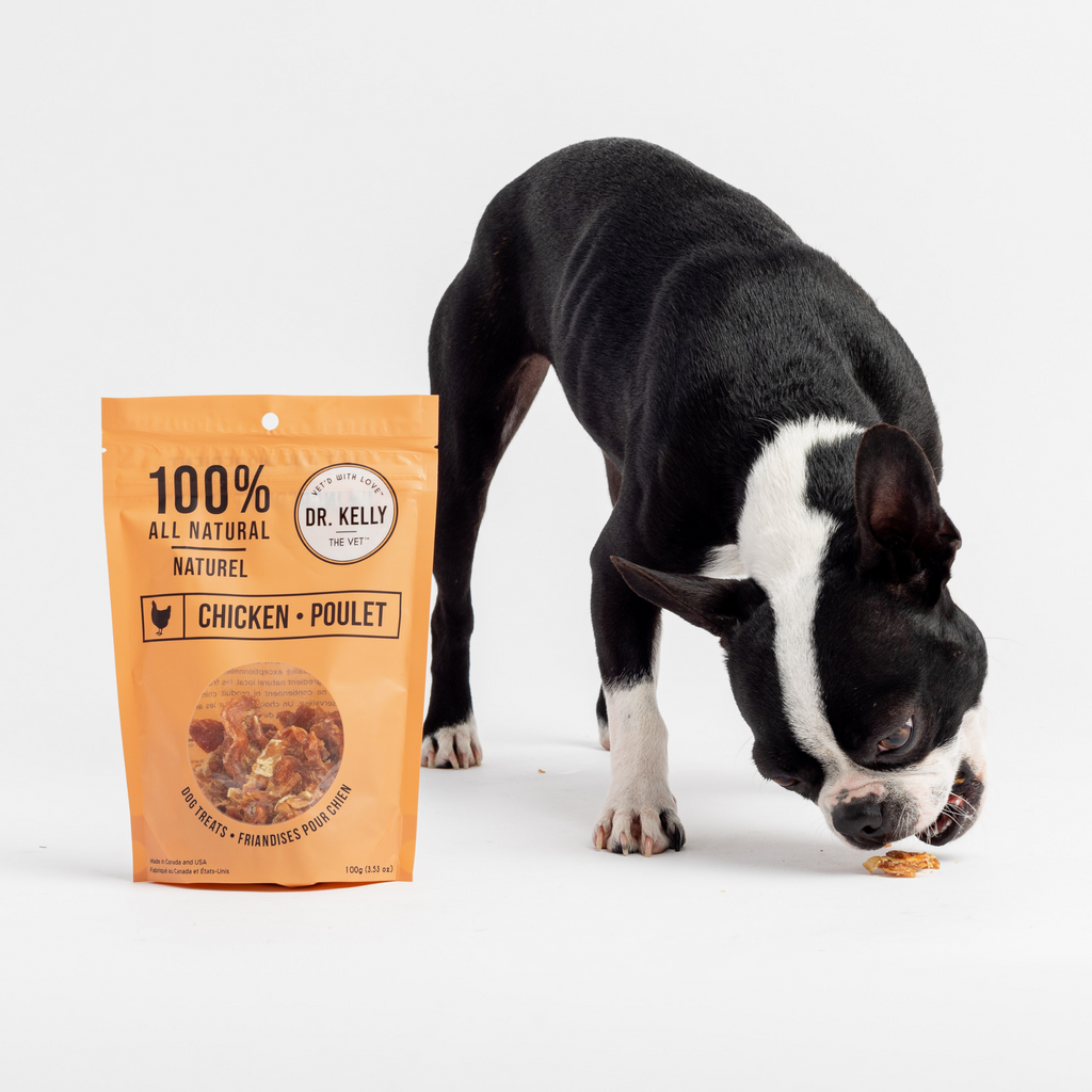 Dr. Kelly 100% Natural Chicken Dog Treats - Single Ingredient Protein Snacks (100g)